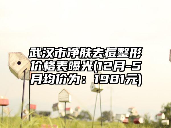 武汉市净肤去痘整形价格表曝光(12月-5月均价为：1981元)