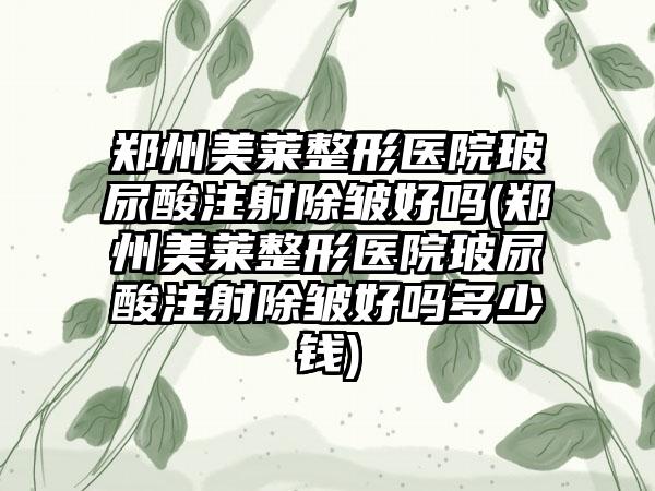 郑州美莱整形医院玻尿酸注射除皱好吗(郑州美莱整形医院玻尿酸注射除皱好吗多少钱)