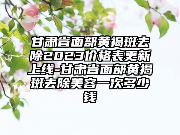 甘肃省面部黄褐斑去除2023价格表更新上线-甘肃省面部黄褐斑去除美容一次多少钱