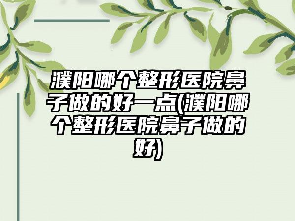 濮阳哪个整形医院鼻子做的好一点(濮阳哪个整形医院鼻子做的好)