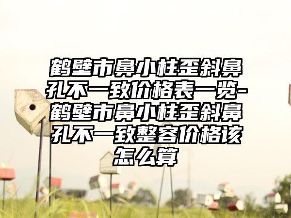 鹤壁市鼻小柱歪斜鼻孔不一致价格表一览-鹤壁市鼻小柱歪斜鼻孔不一致整容价格该怎么算