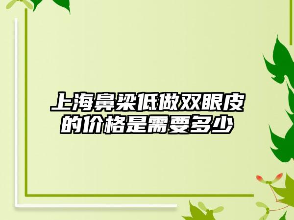 上海鼻梁低做双眼皮的价格是需要多少