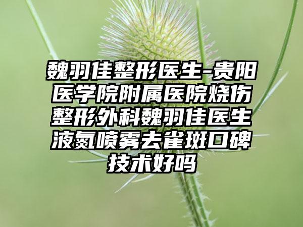 魏羽佳整形医生-贵阳医学院附属医院烧伤整形外科魏羽佳医生液氮喷雾去雀斑口碑技术好吗