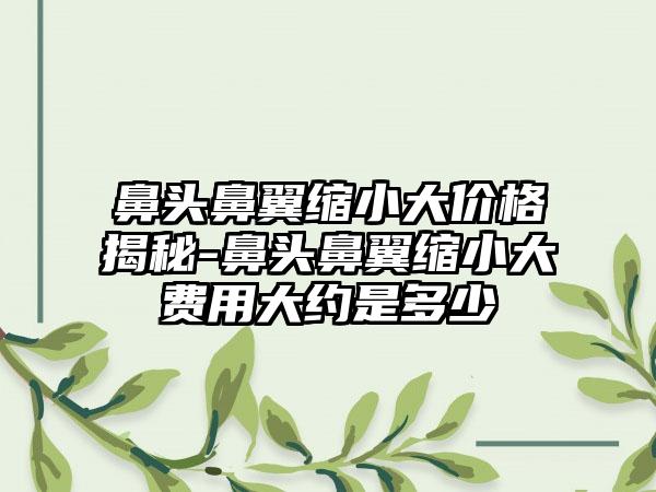 鼻头鼻翼缩小大价格揭秘-鼻头鼻翼缩小大费用大约是多少