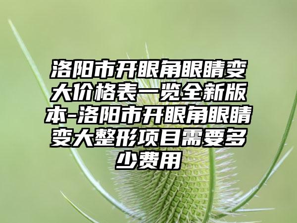 洛阳市开眼角眼睛变大价格表一览全新版本-洛阳市开眼角眼睛变大整形项目需要多少费用