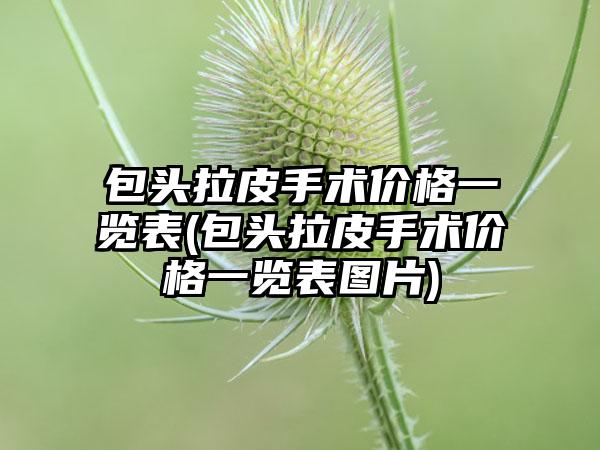 包头拉皮手术价格一览表(包头拉皮手术价格一览表图片)