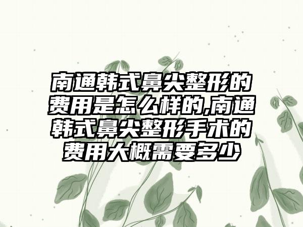 南通韩式鼻尖整形的费用是怎么样的,南通韩式鼻尖整形手术的费用大概需要多少