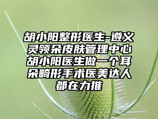 胡小阳整形医生-遵义灵领朵皮肤管理中心胡小阳医生做一个耳朵畸形手术医美达人都在力推