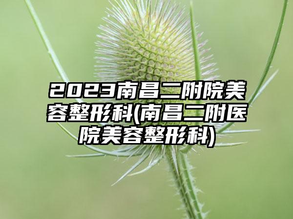 2023南昌二附院美容整形科(南昌二附医院美容整形科)