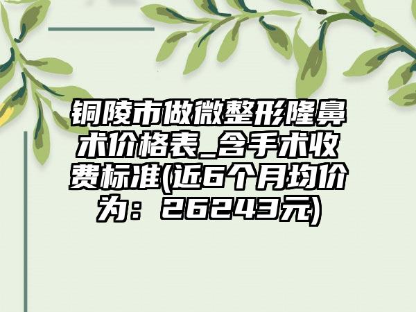 铜陵市做微整形隆鼻术价格表_含手术收费标准(近6个月均价为：26243元)