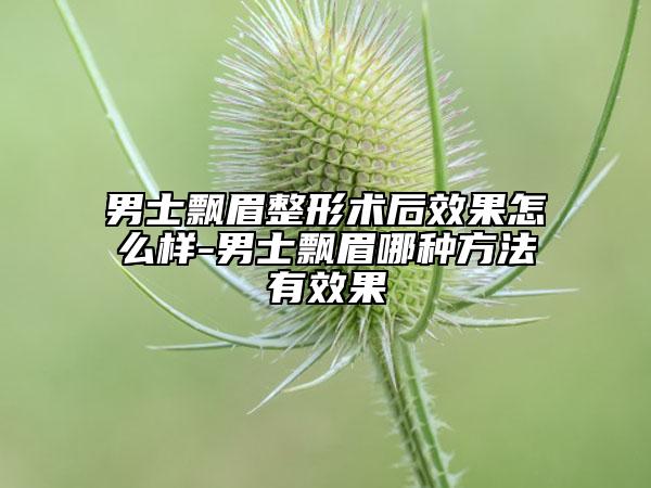 男士飘眉整形术后成果怎么样-男士飘眉哪种方法有成果