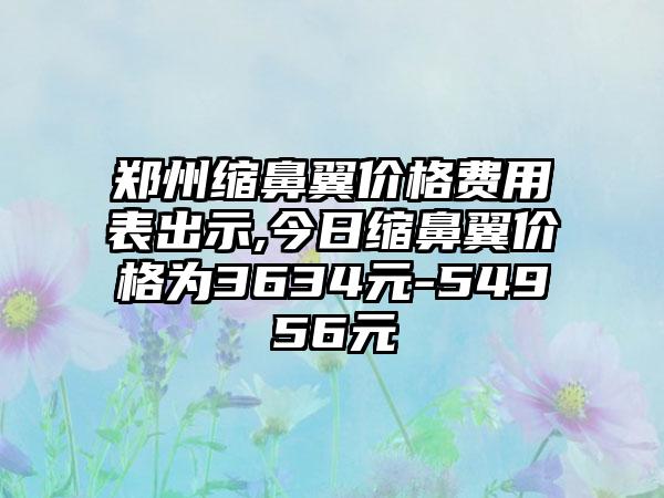 郑州缩鼻翼价格费用表出示,今日缩鼻翼价格为3634元-54956元