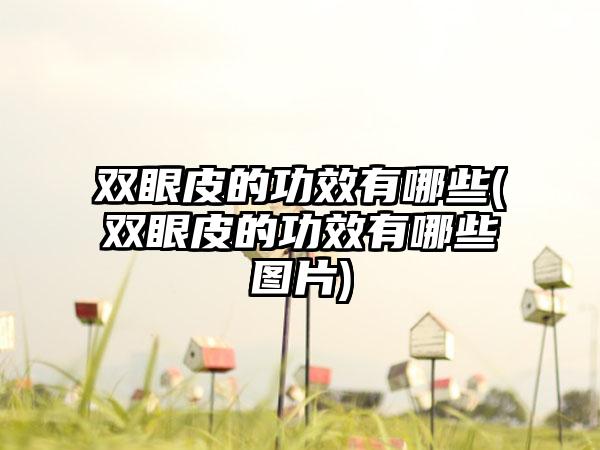 双眼皮的功效有哪些(双眼皮的功效有哪些图片)