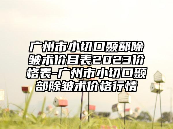 广州市小切口颞部除皱术价目表2023价格表-广州市小切口颞部除皱术价格行情