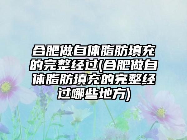 合肥做自体脂肪填充的完整经过(合肥做自体脂肪填充的完整经过哪些地方)