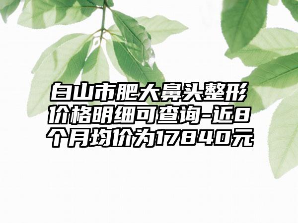 白山市肥大鼻头整形价格明细可查询-近8个月均价为17840元