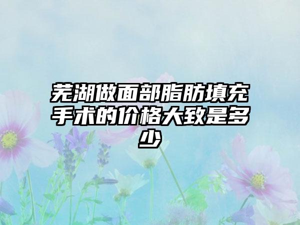 芜湖做面部脂肪填充手术的价格大致是多少