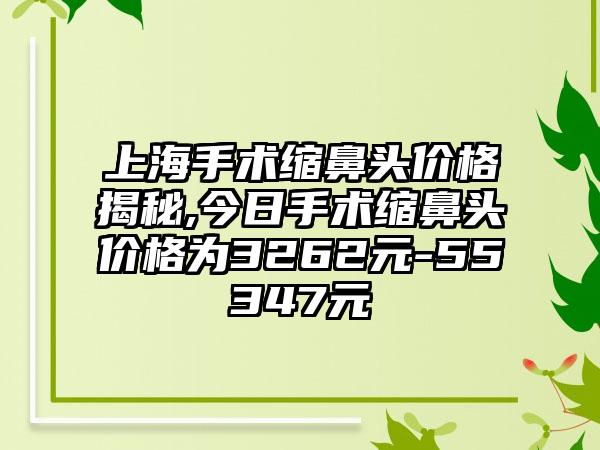 上海手术缩鼻头价格揭秘,今日手术缩鼻头价格为3262元-55347元