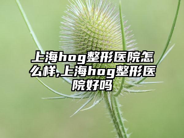 上海hog整形医院怎么样,上海hog整形医院好吗